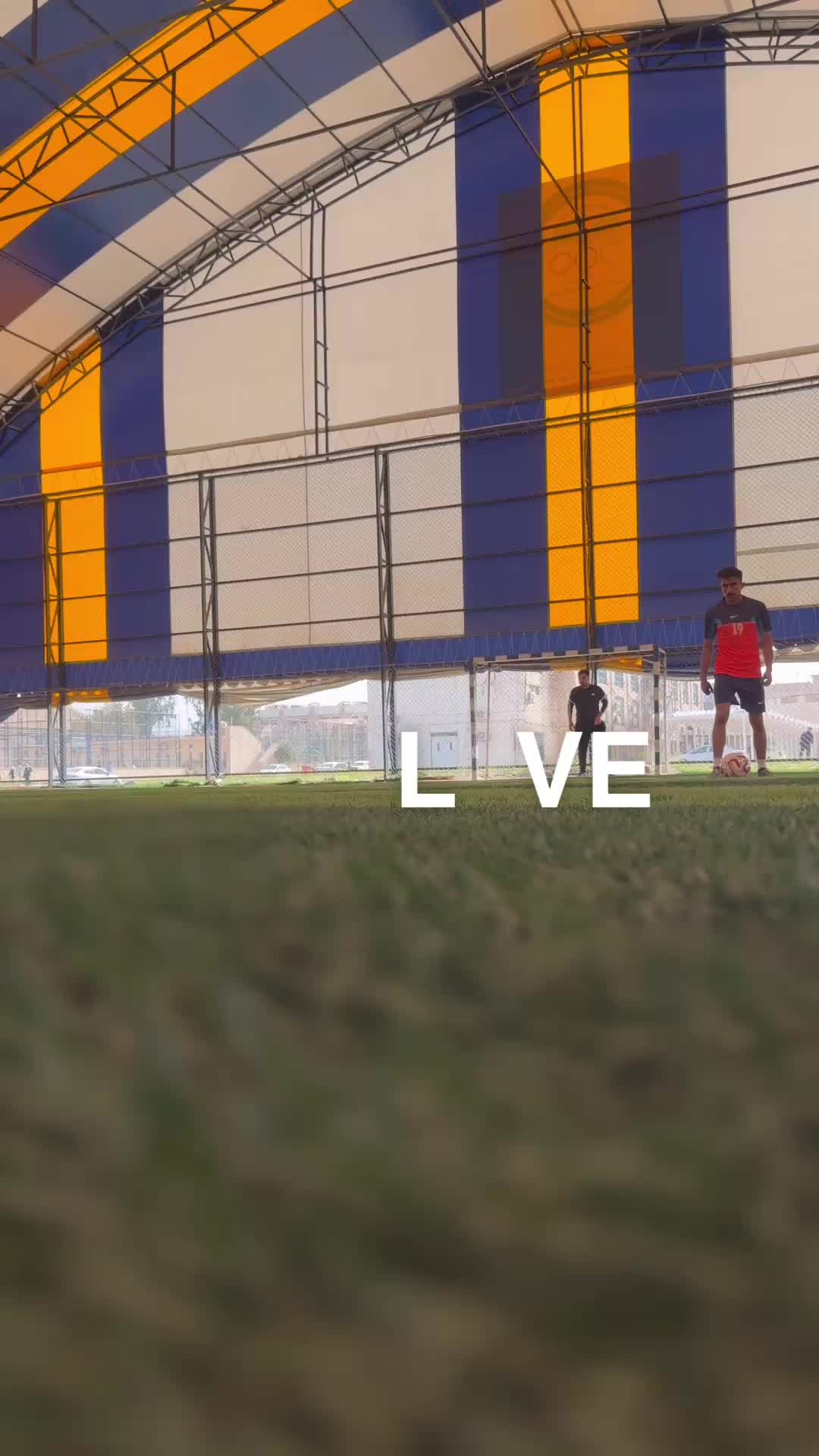 @GECKO l جيكو