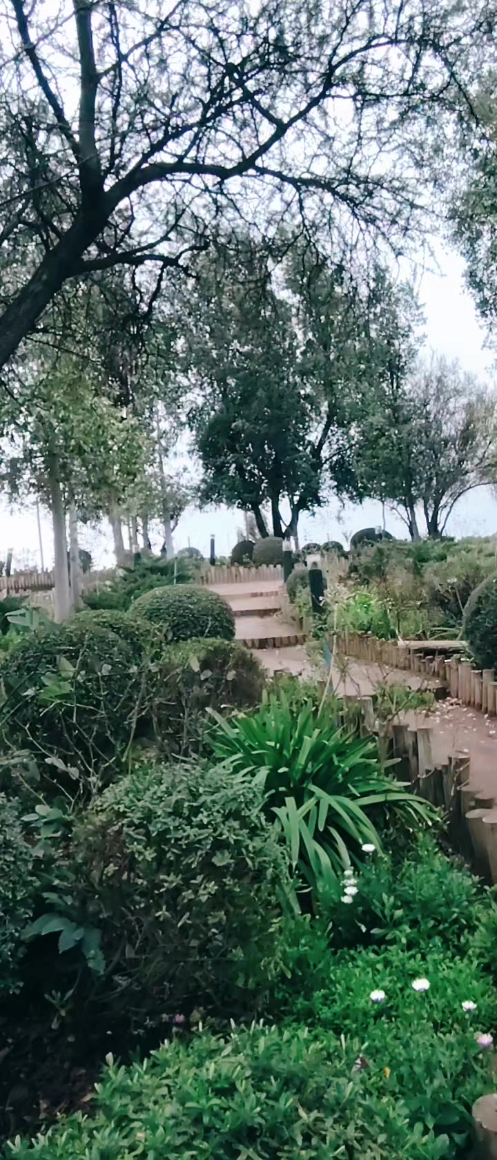 @ANDRESITO 🇨🇱🇨🇱🇨🇱💞💞💞