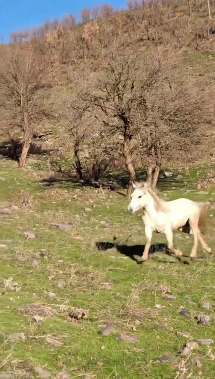@Mehmet G&ouml;k&ccedil;e