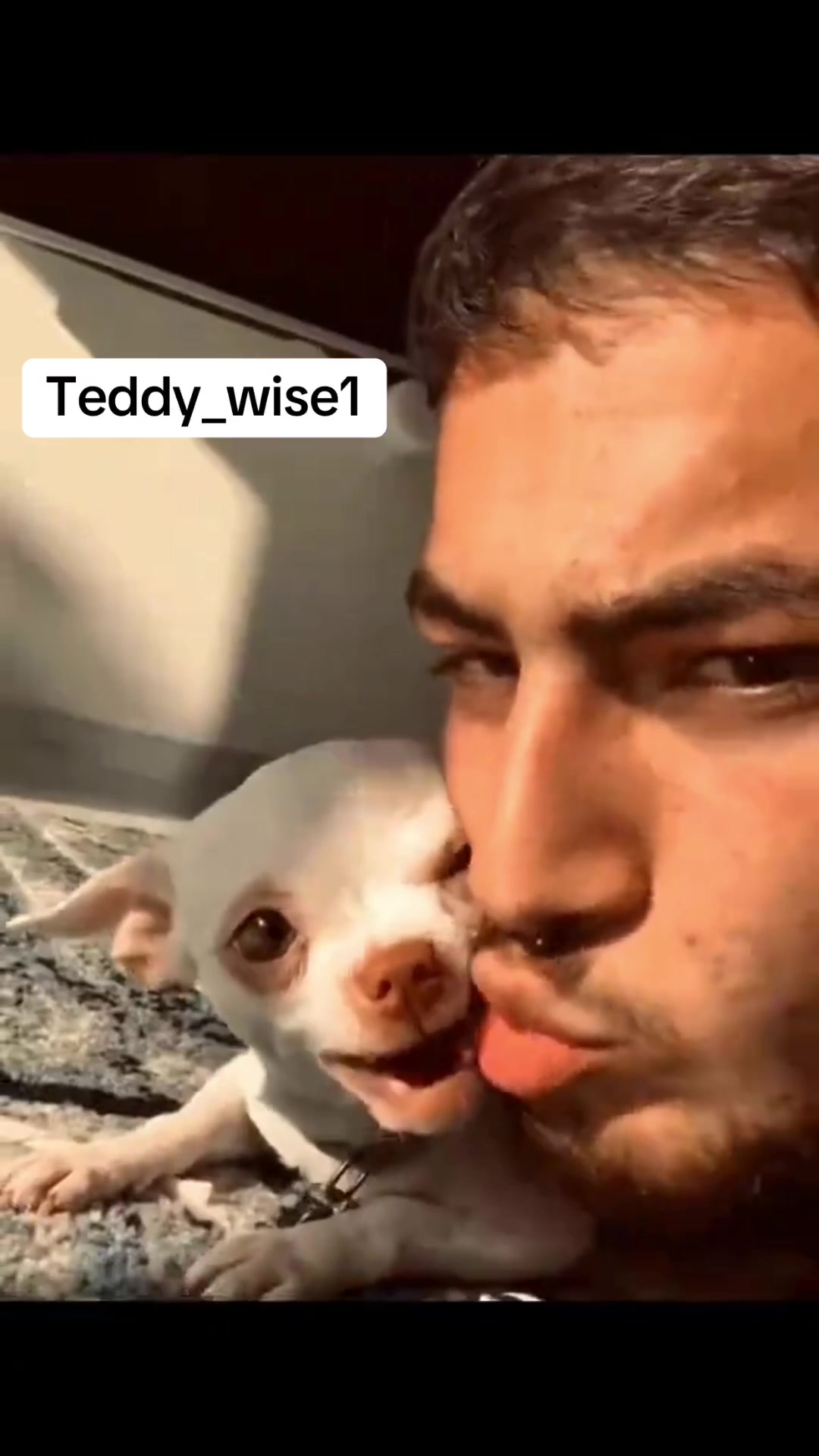 @Teddy_wise1🥰🤣