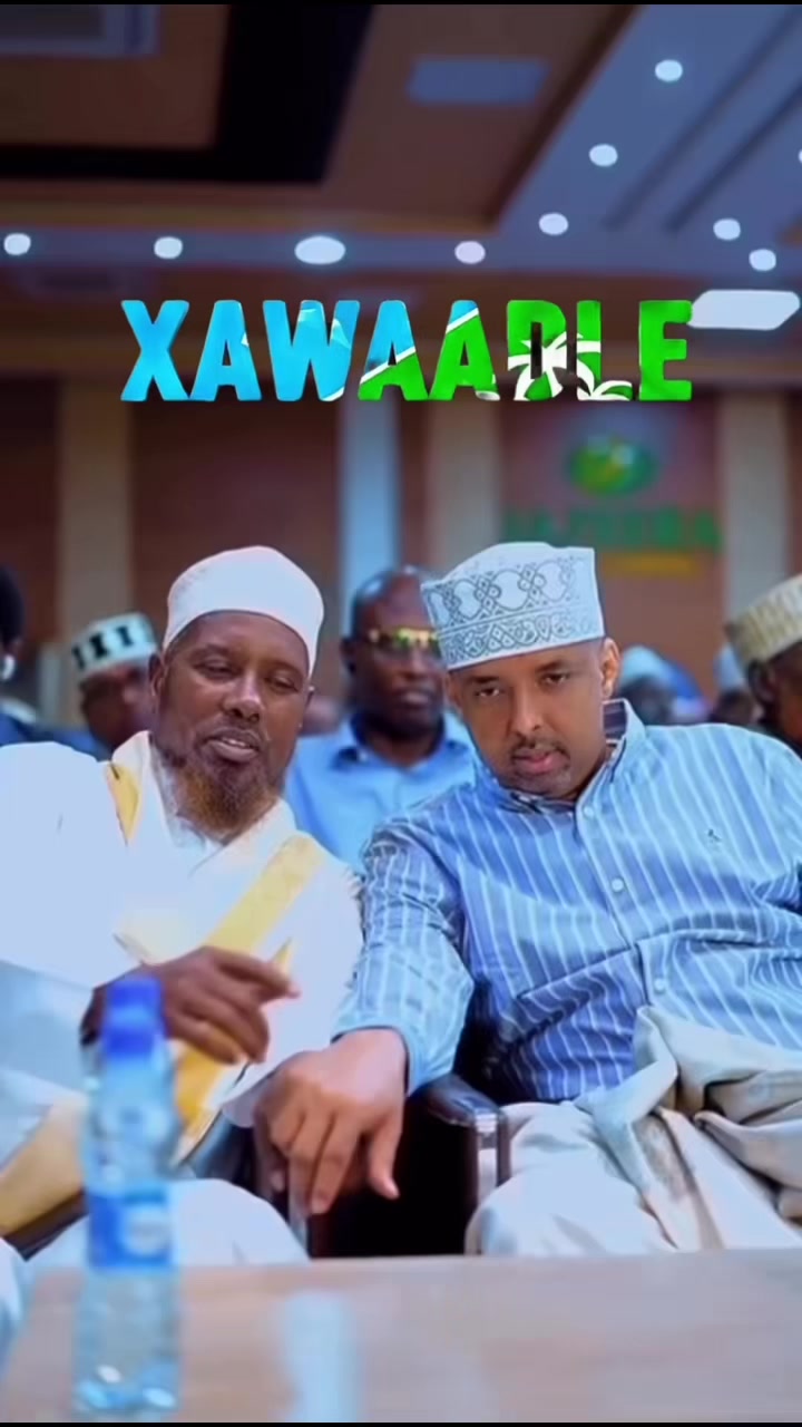 @Shaffi Abdi