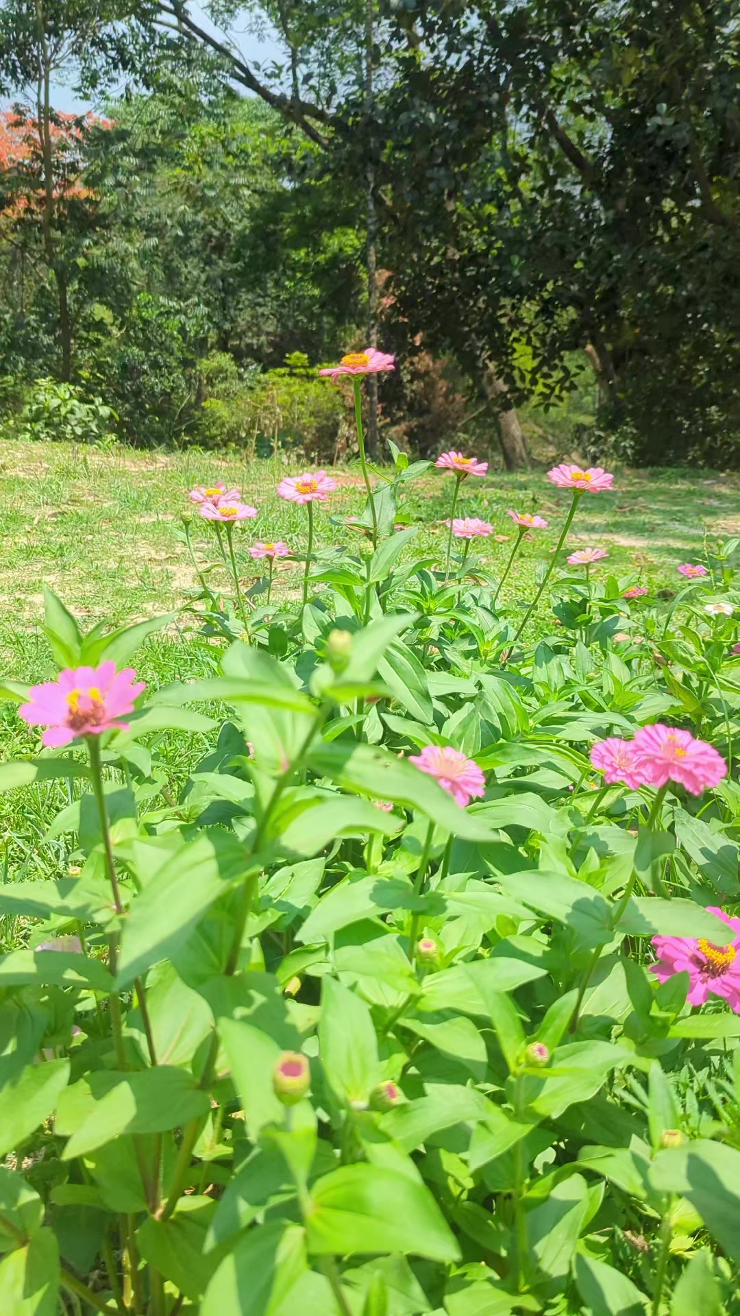 @কালো ছেলে ꧁ SM꧂⛎