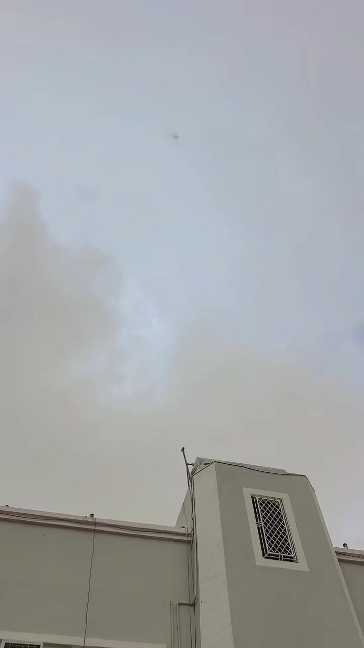 @👑 غنم رنگ جواد 👑 804