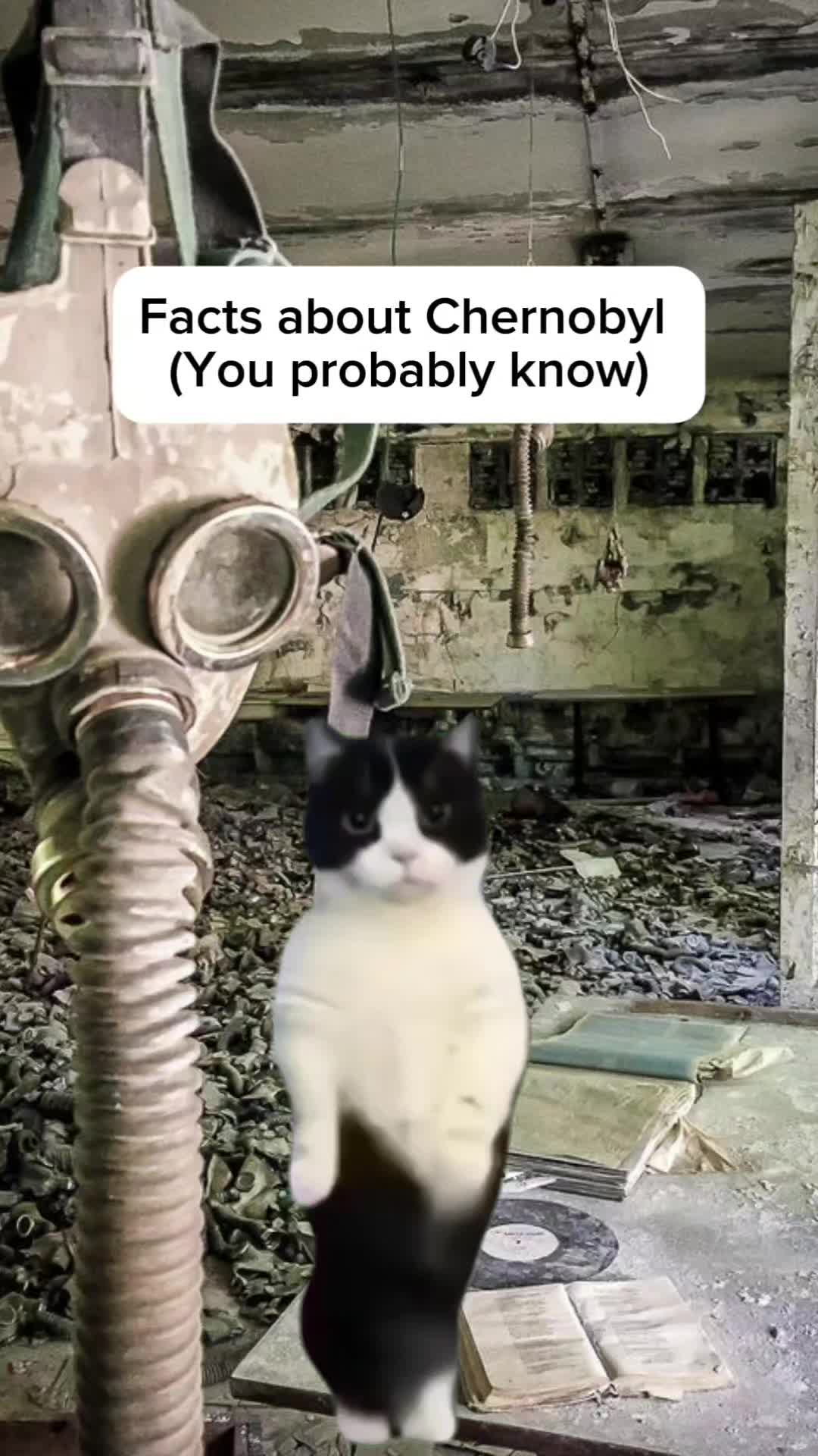 @Histonerd