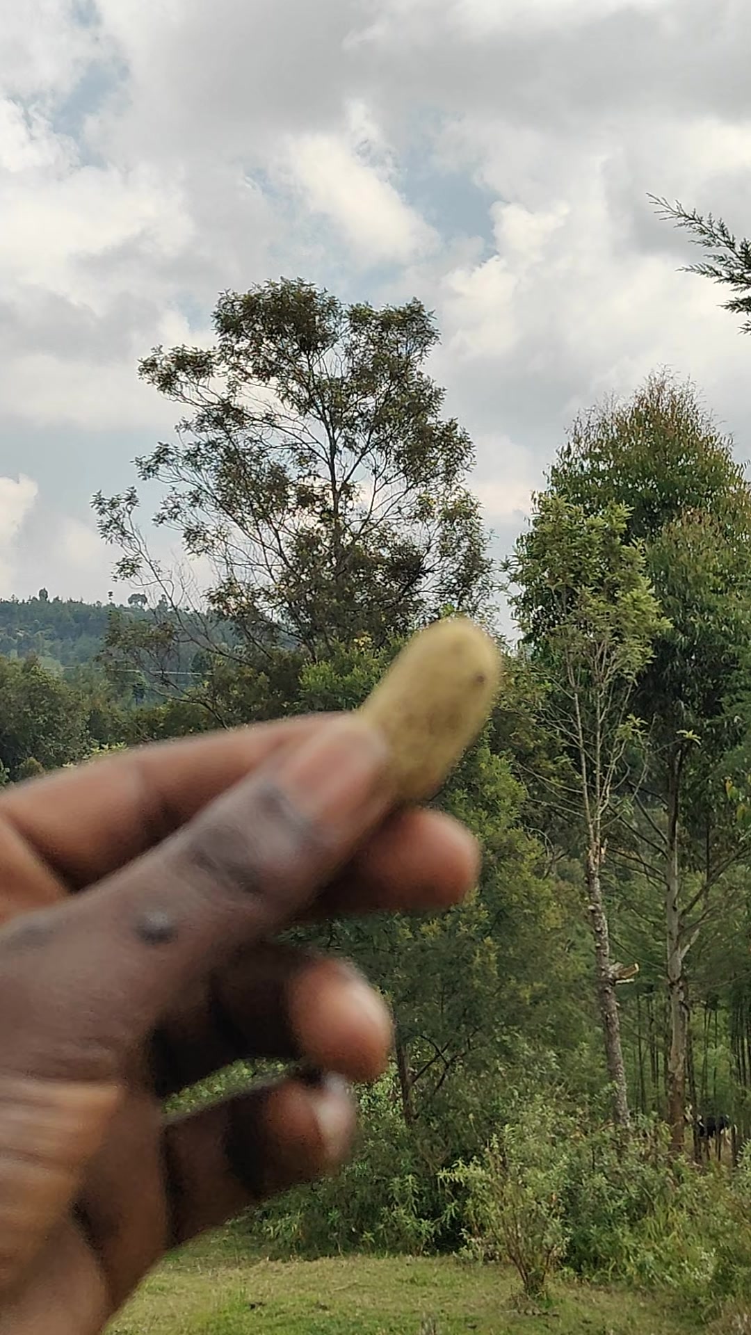 @FLAPAH_NYAHURURU🧢