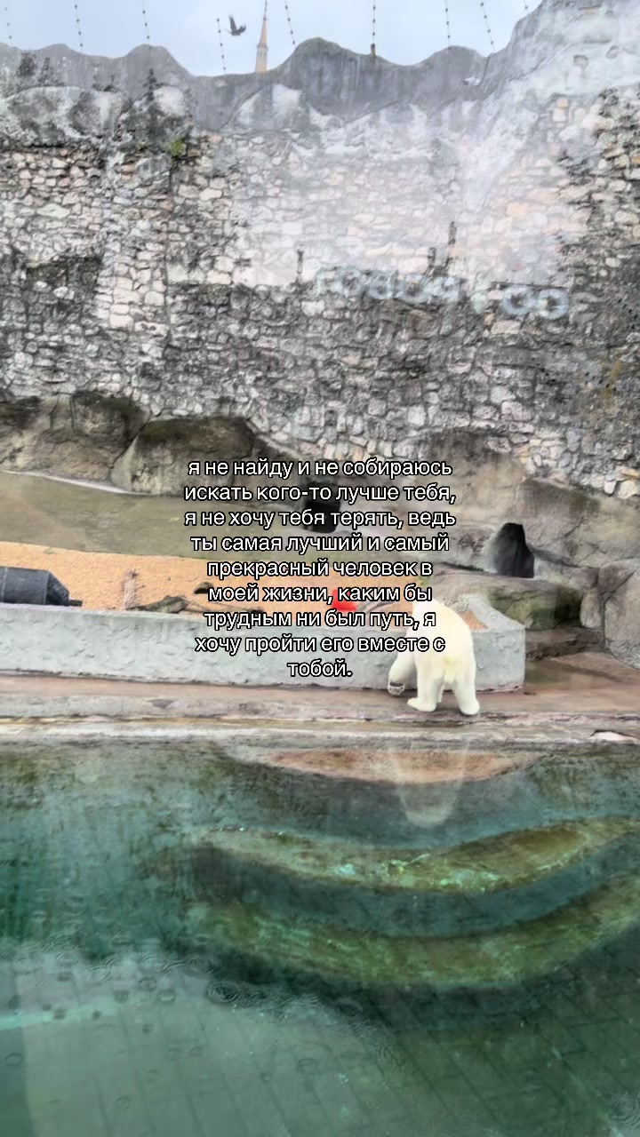 @askerov🇦🇿