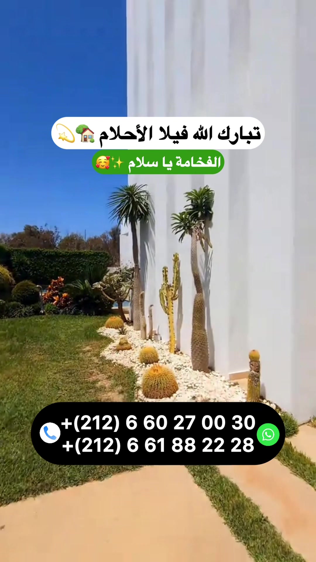 @Zakaria Haddad 🇲🇦🇵🇸