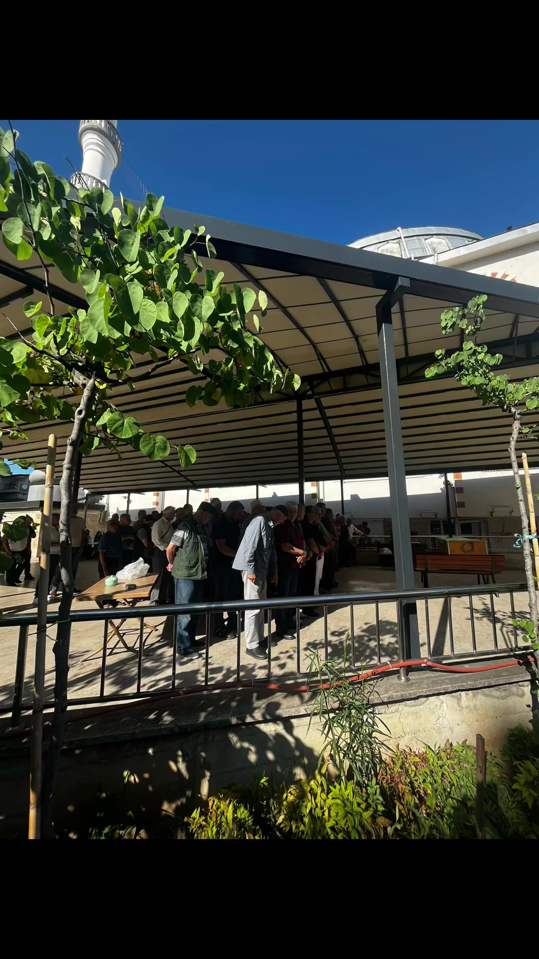@SILA 🦋