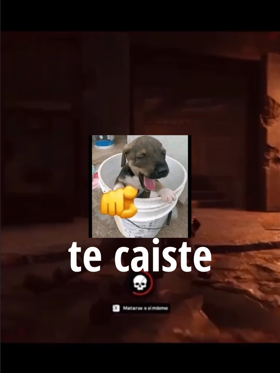 @carv