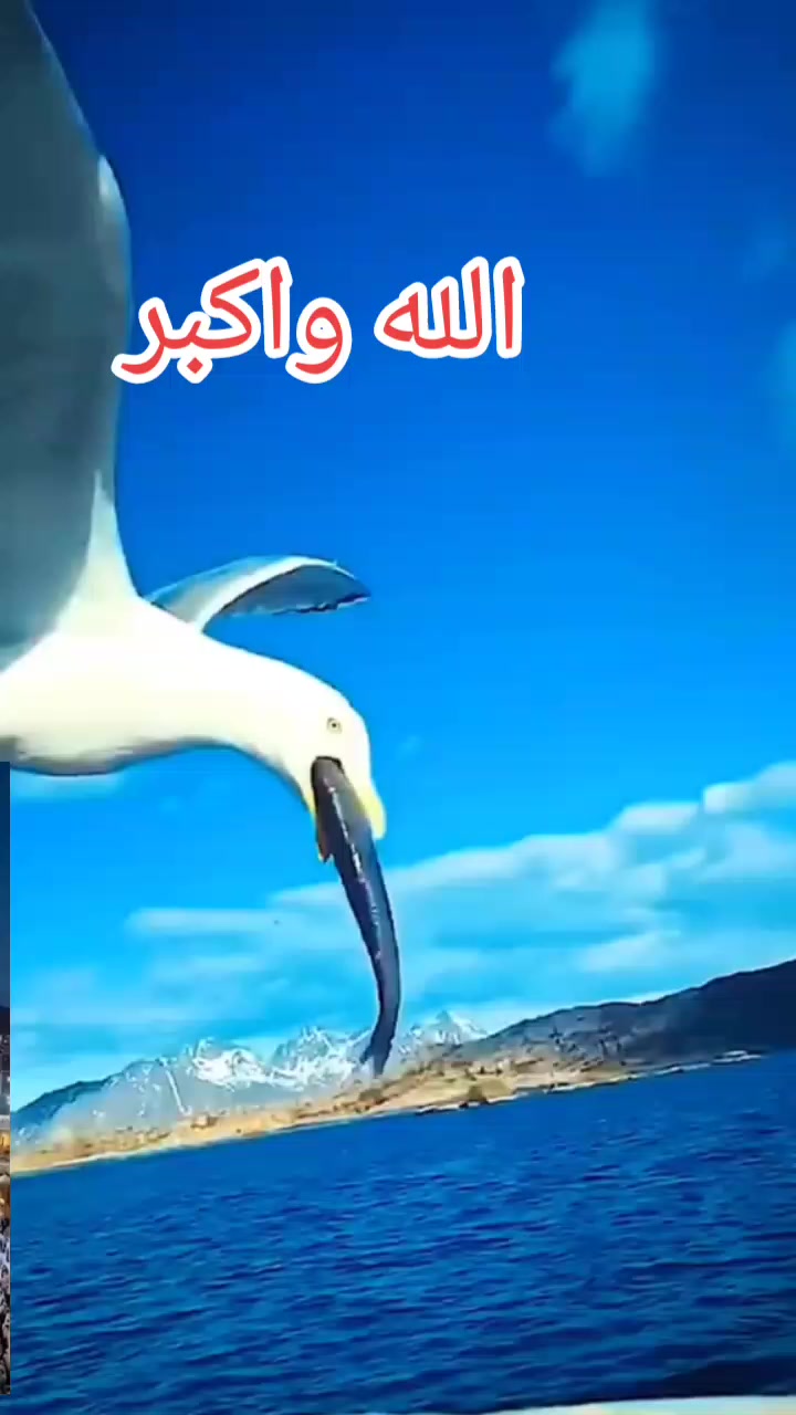@الله أكبر🤍🤲