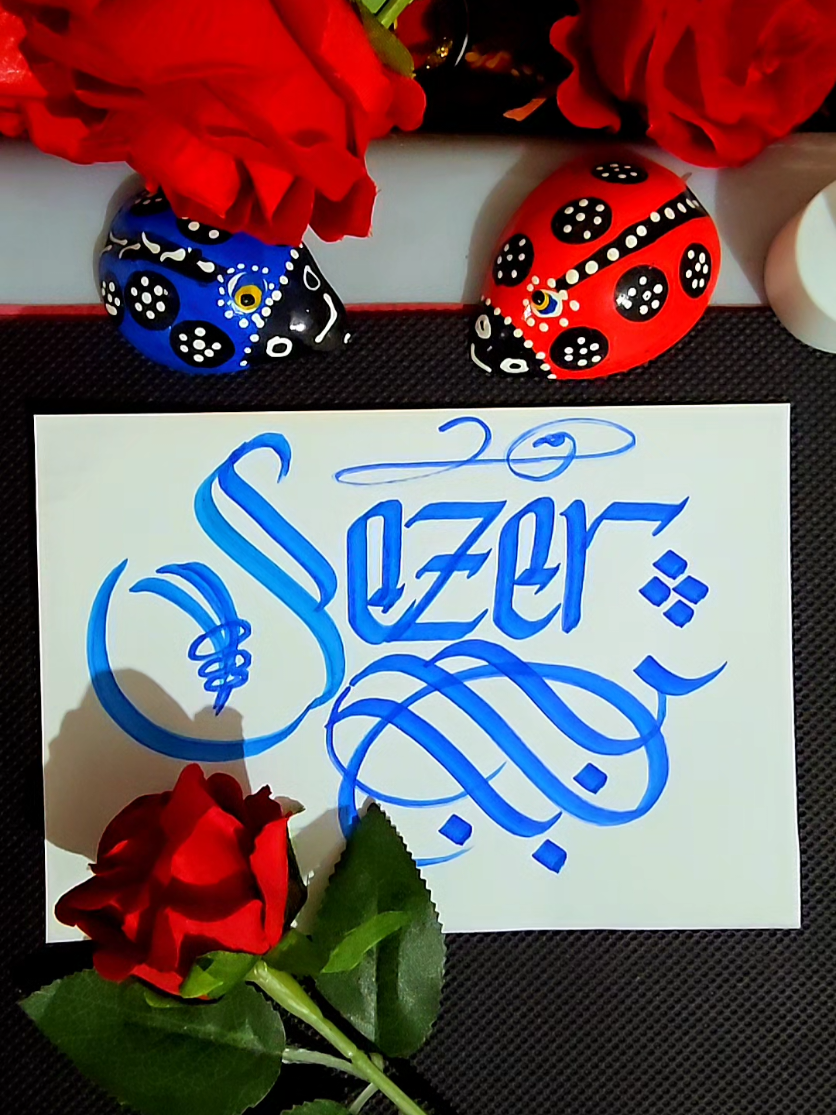 @🇹🇷Şair G&uuml;rsel S&uuml;k&ucirc;ti25🇹🇷