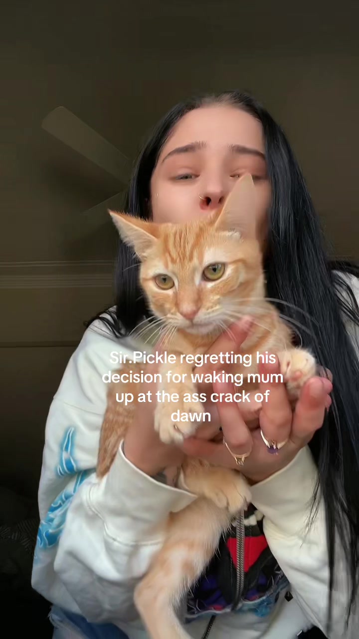 @Ash