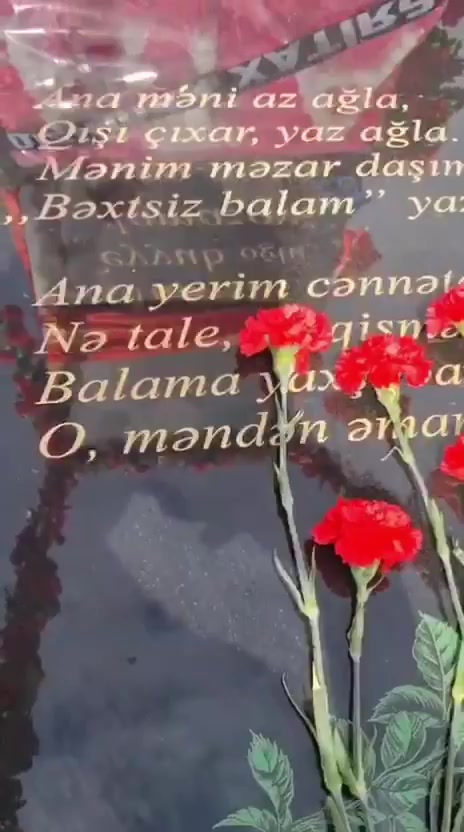 @Talehdi_qadan_aLım🤍✅