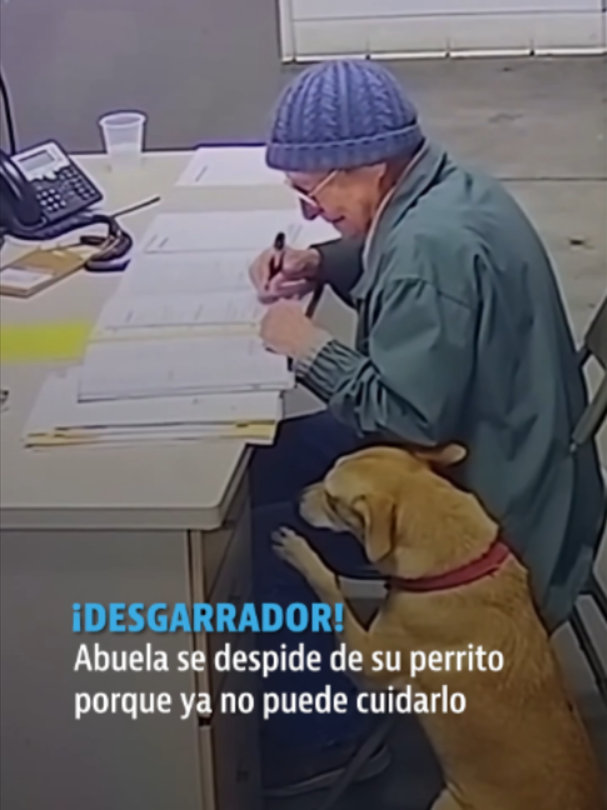 @elheraldodemexico
