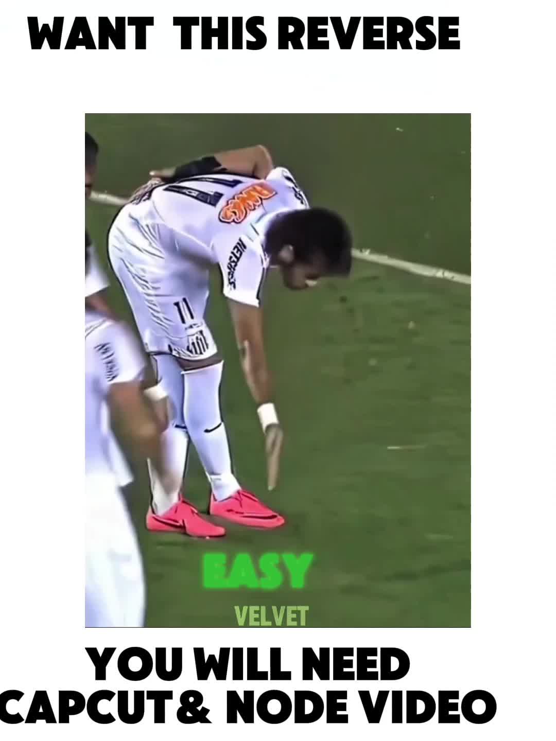 @𝑻 | ᵐᵃˢᵗᵉʳvelo