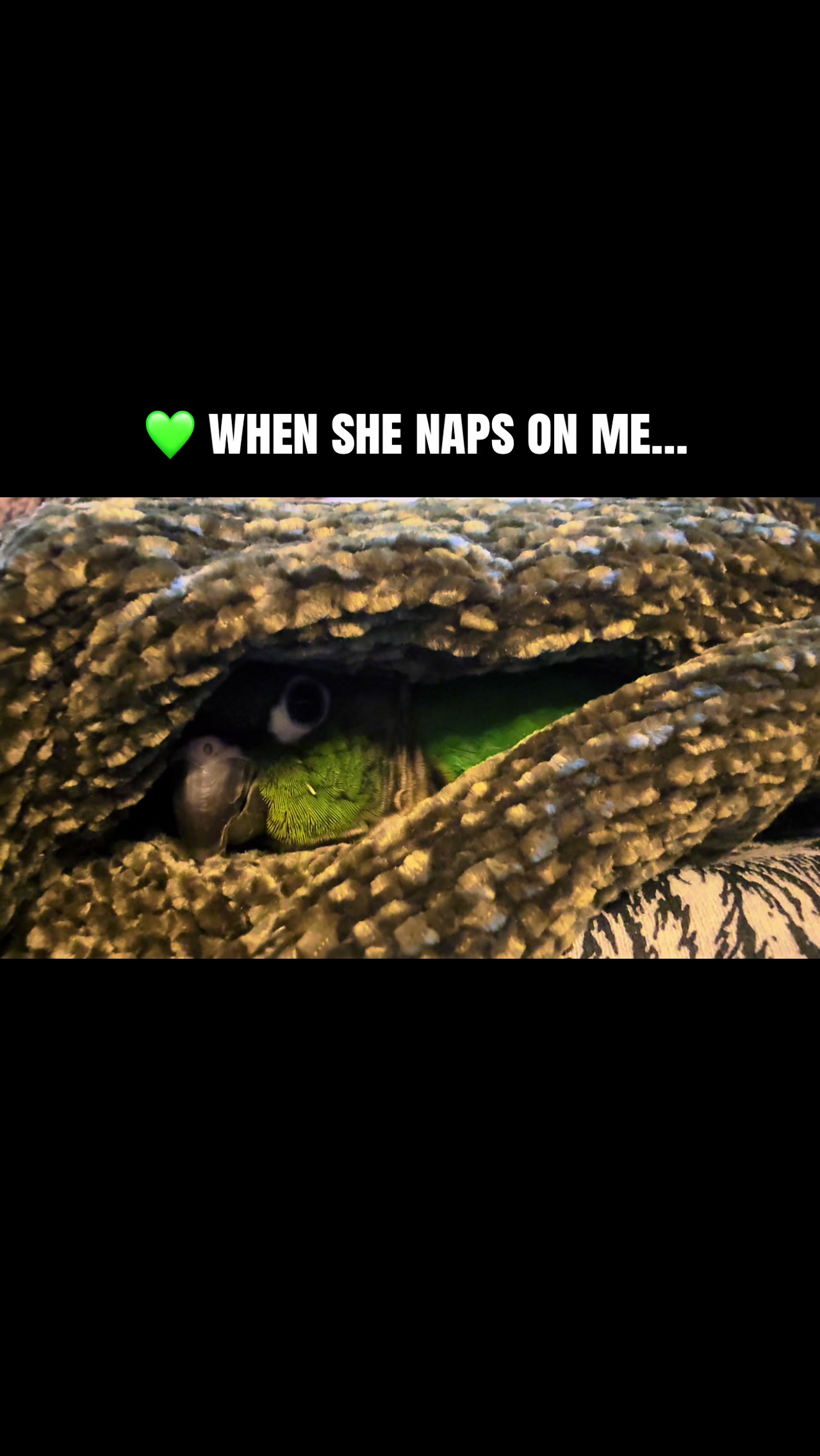 @terragreengoddess