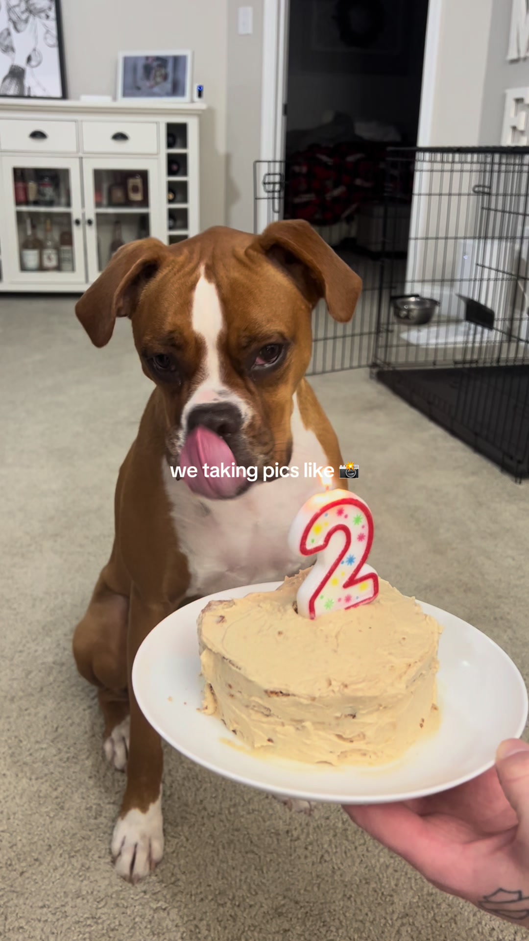 @Veda