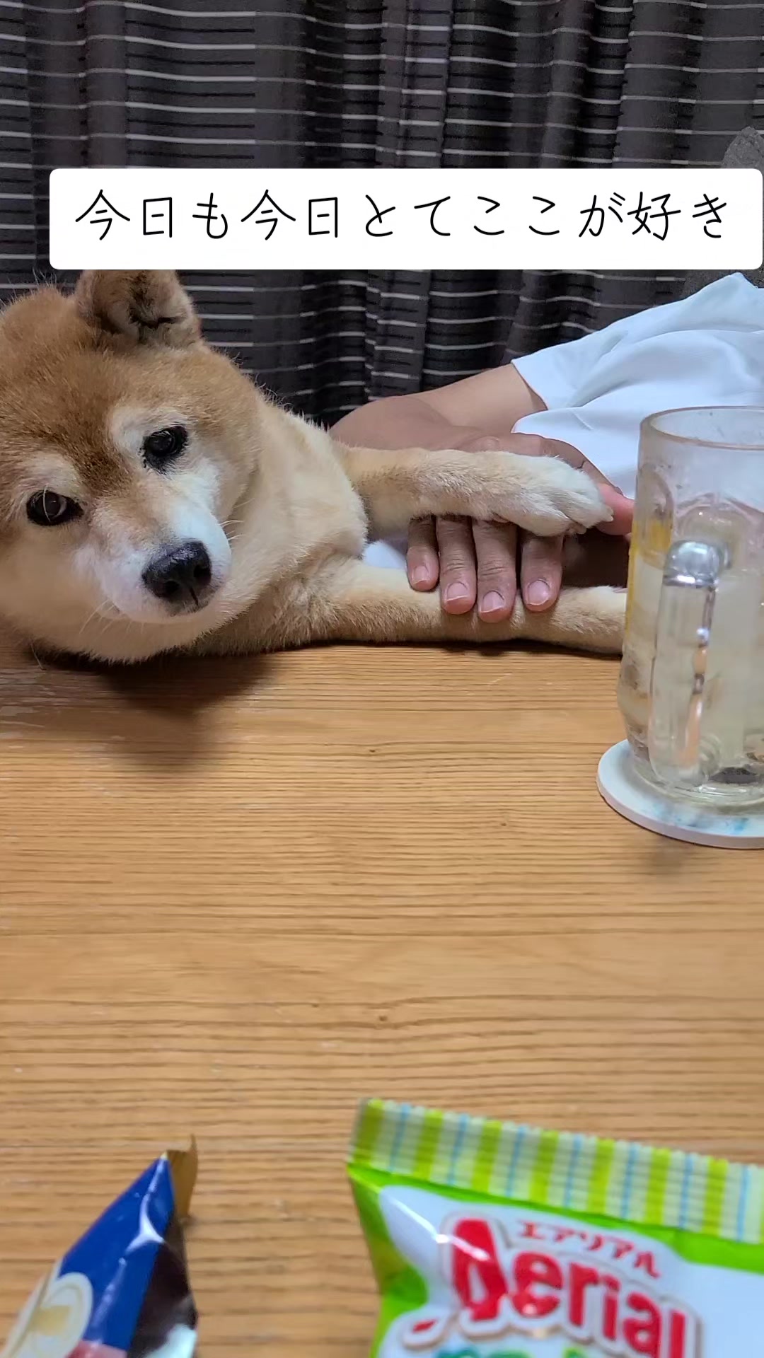 @わんわんニャンニャン🐱🐶