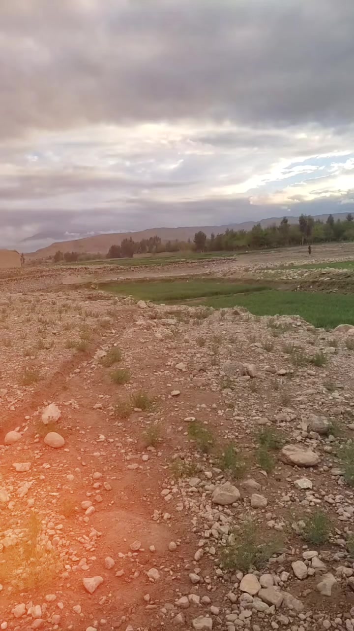 @almaskotwal46🇦🇫