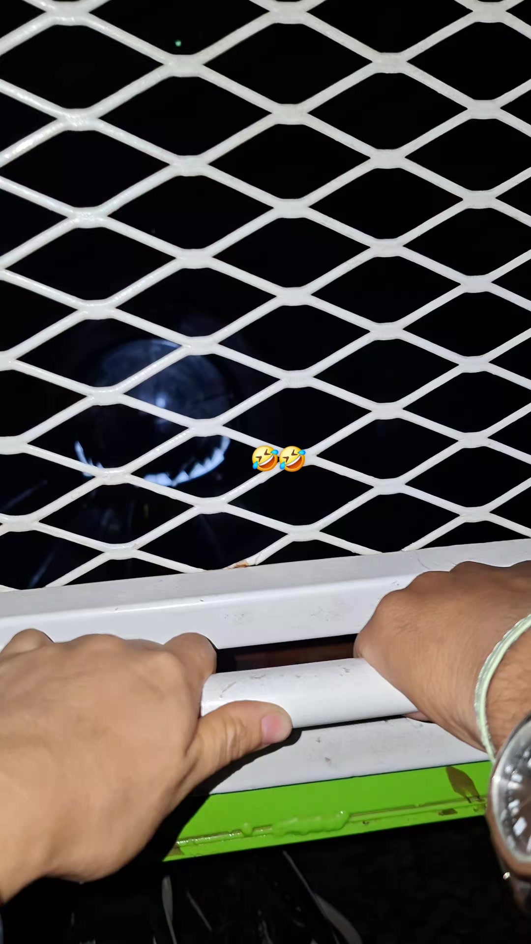 @Liz๐