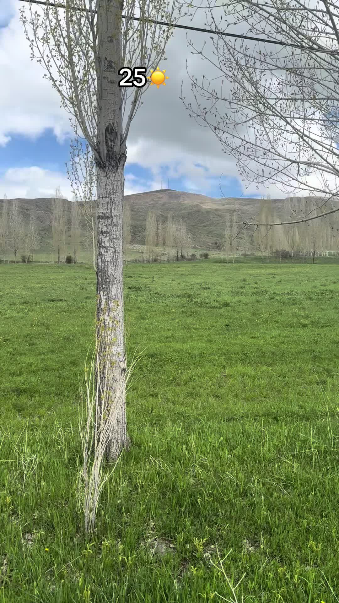 @Sayın Bulduk