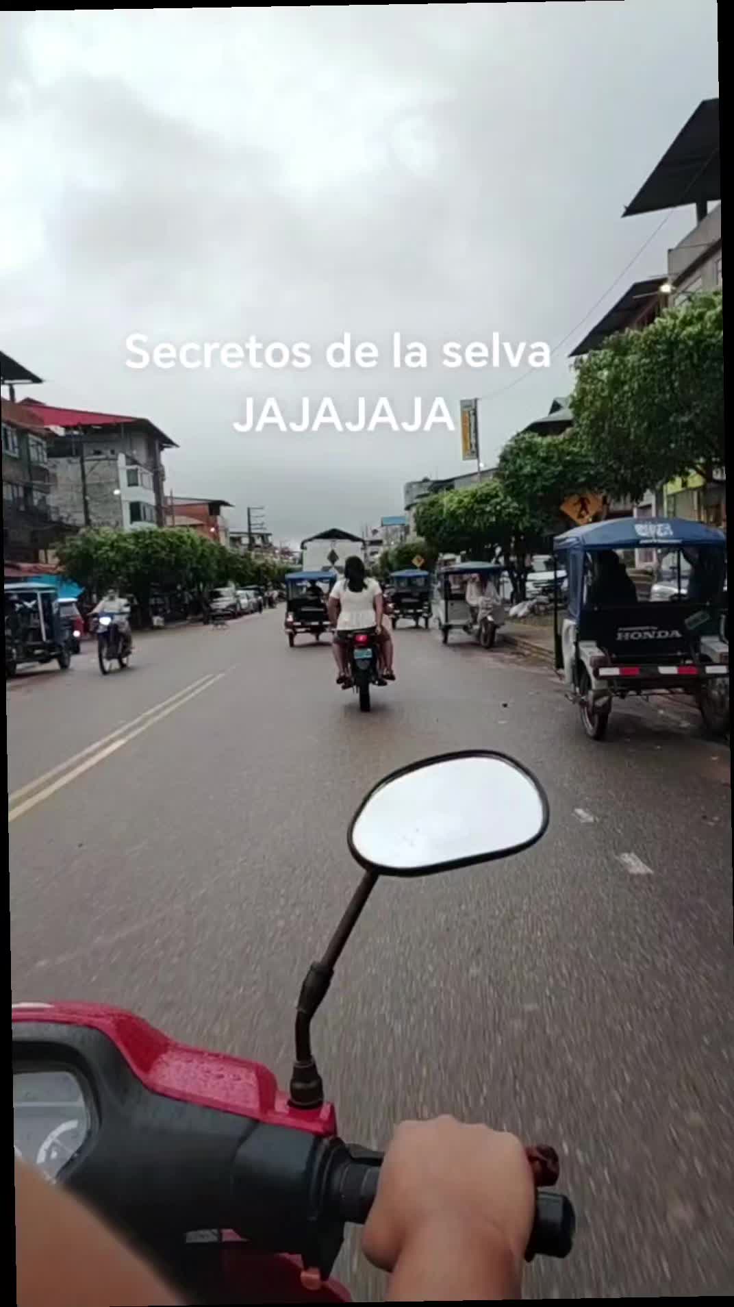 @Grey Gómez