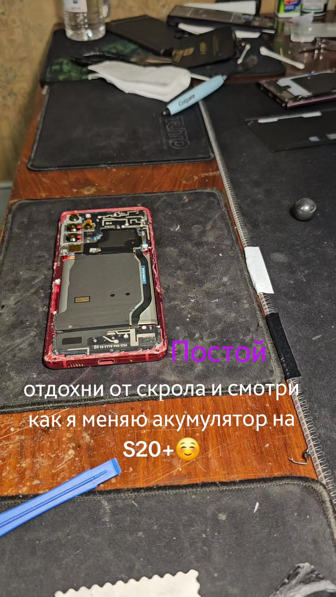 @🐢Turtle_Tech