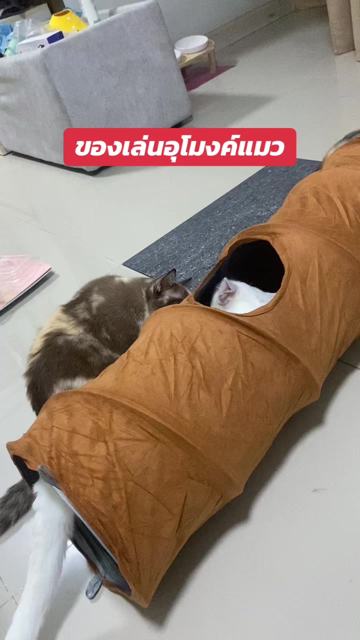 @luxsiriwan21