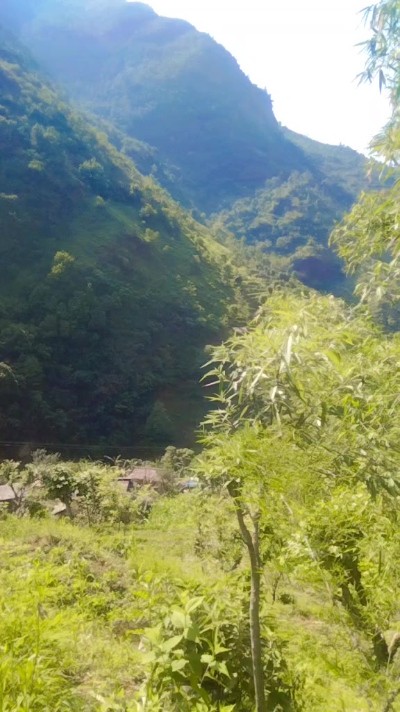@Barshakumari Rasaili