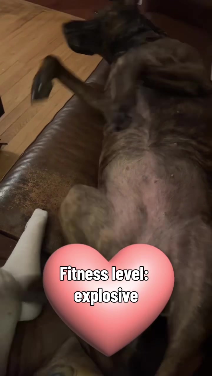 @John_Tammy🇨🇦