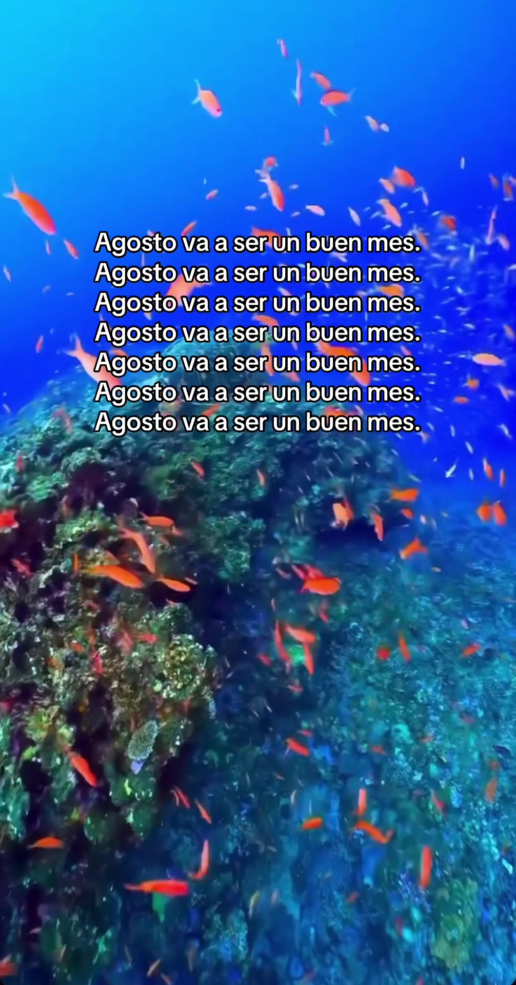 @Jessy Serrano