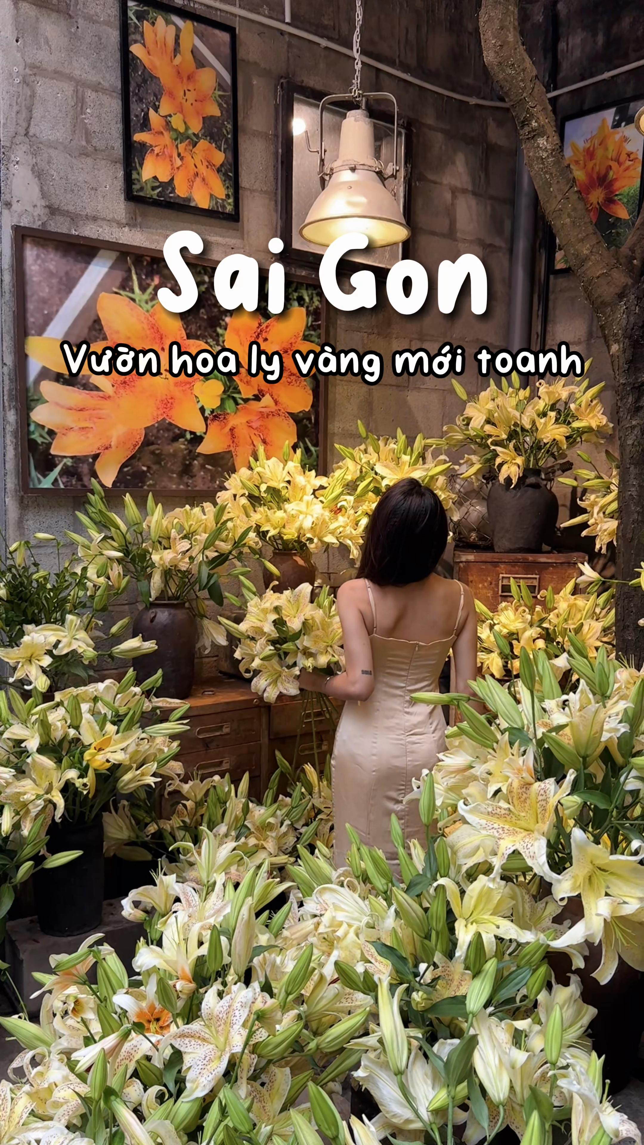 @1 ph&uacute;t S&agrave;i G&ograve;n