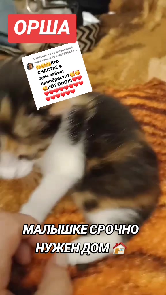 @marinka20_09