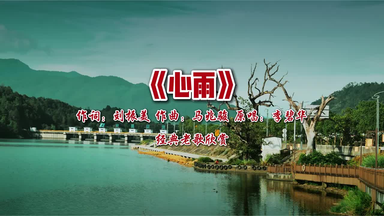 @美丽的世界