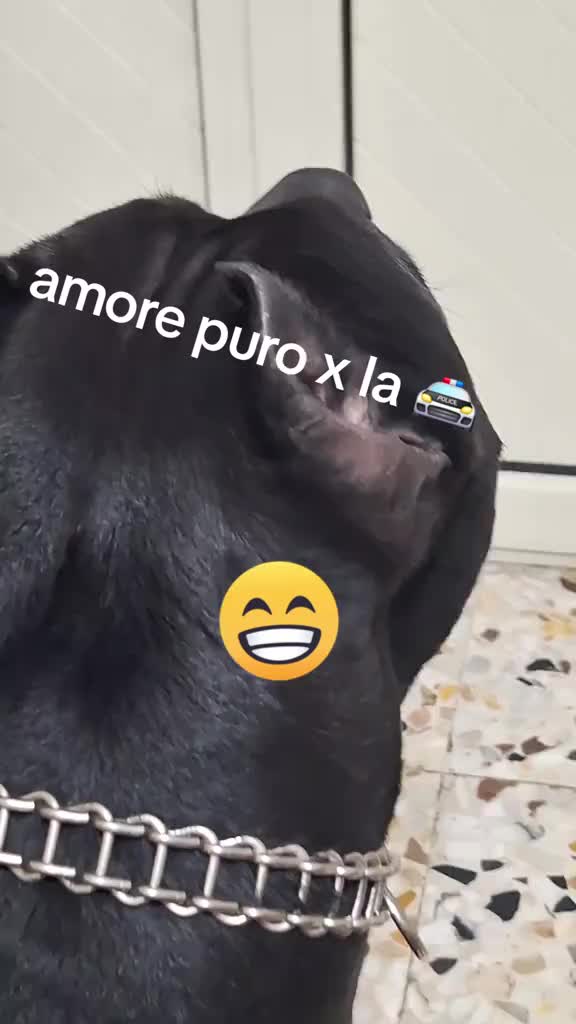 @❤️E🖤N❤️Z🖤O❤️