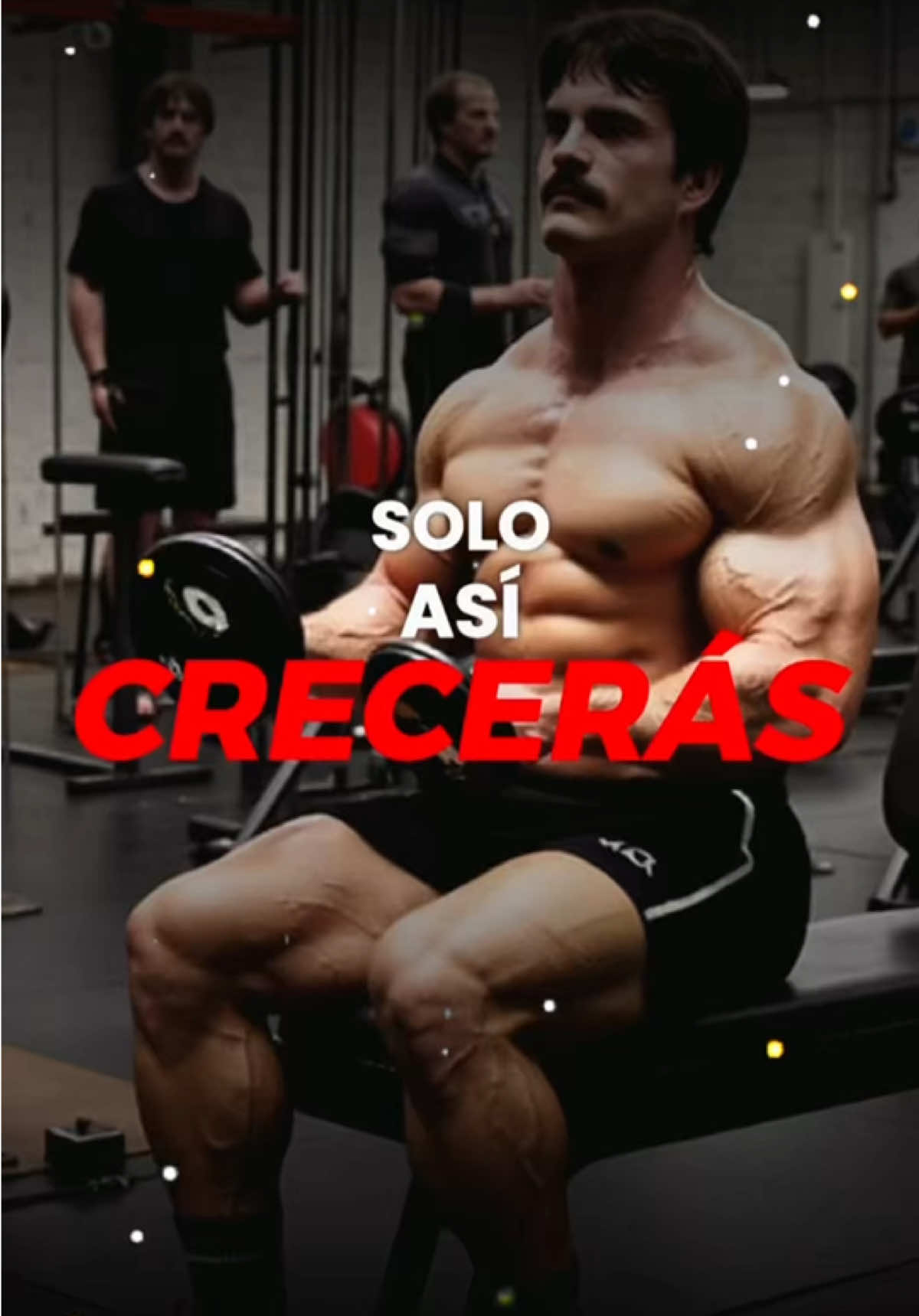 @TEMPLOFIT | Heavy Duty Moderno