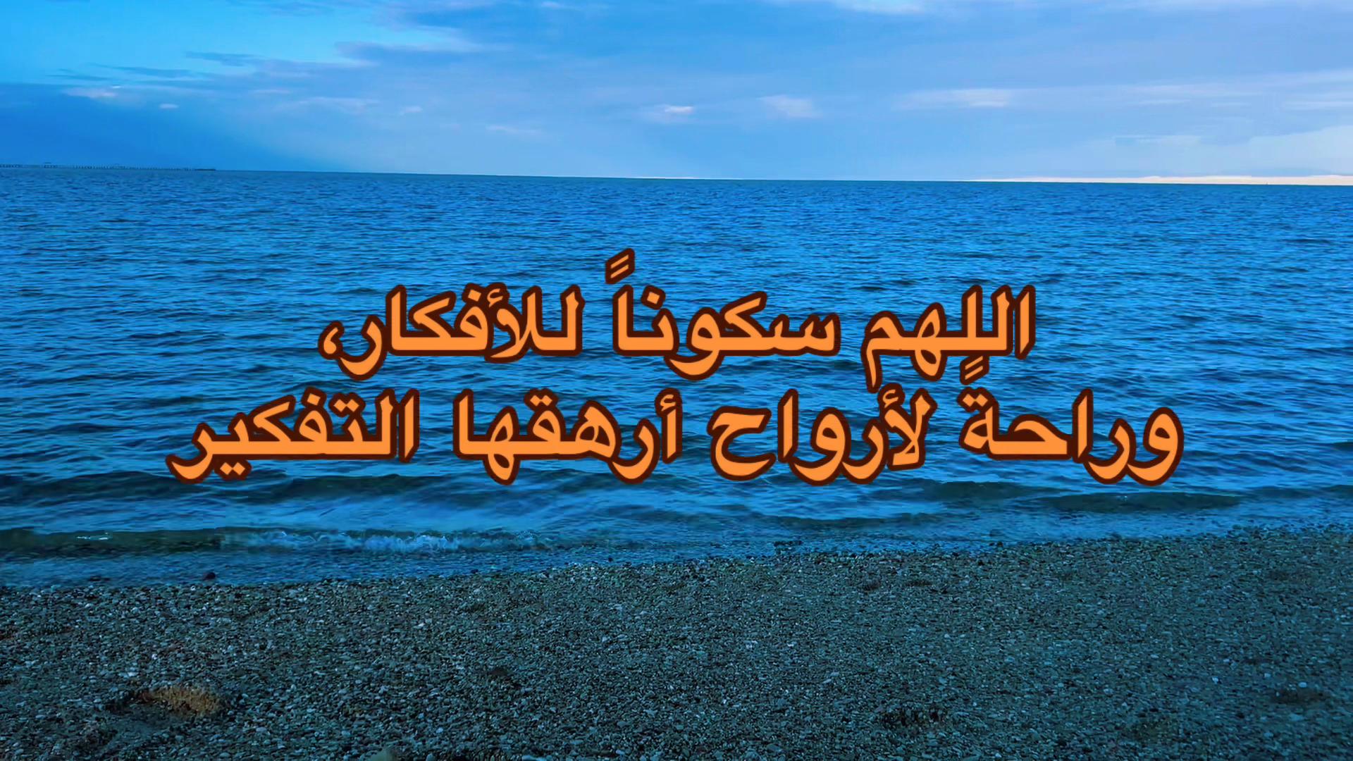 @sayed max38✌️