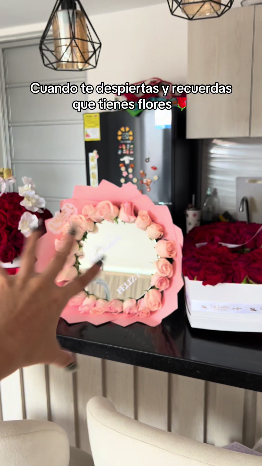 @paudipai