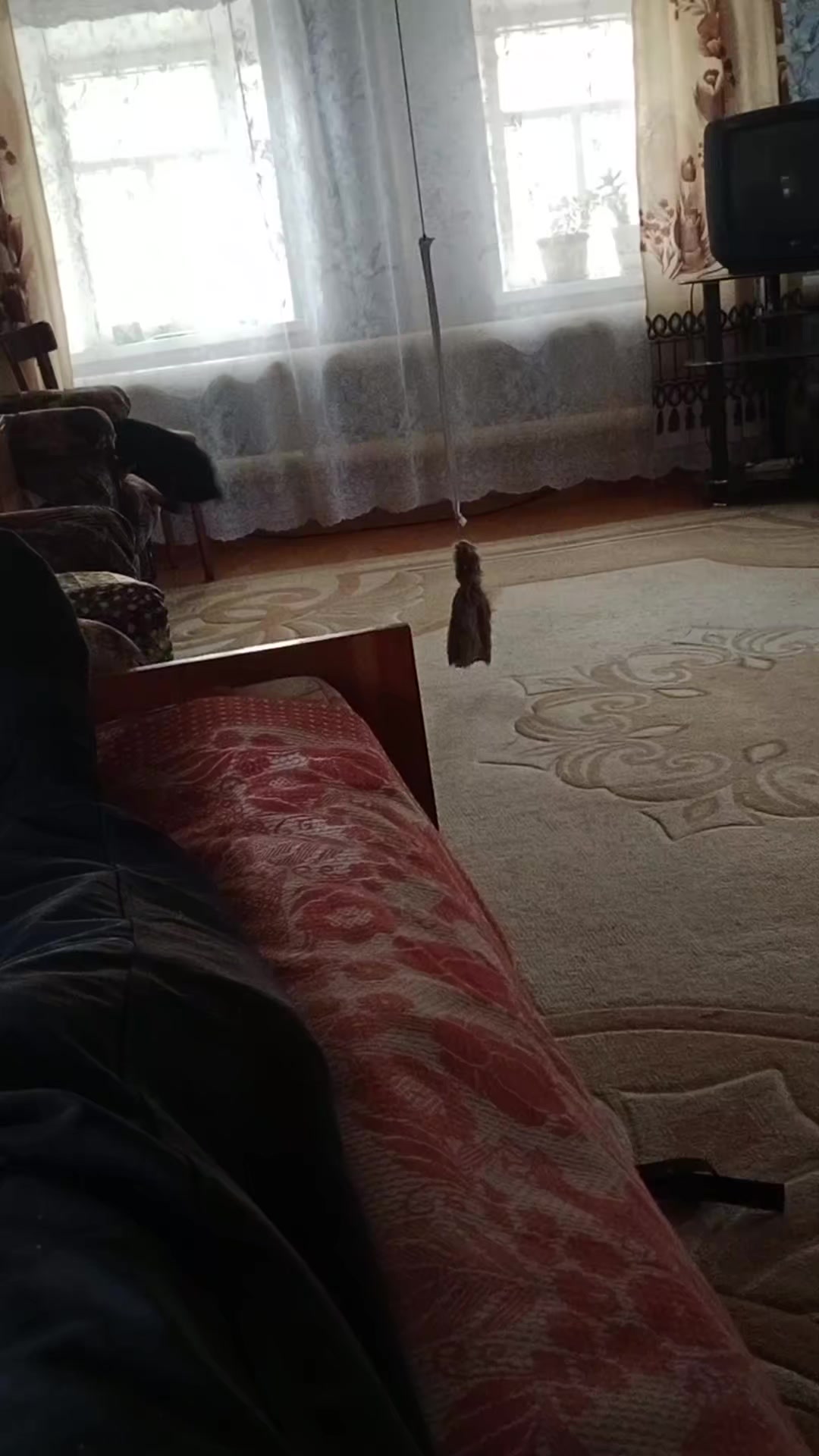 @Николай