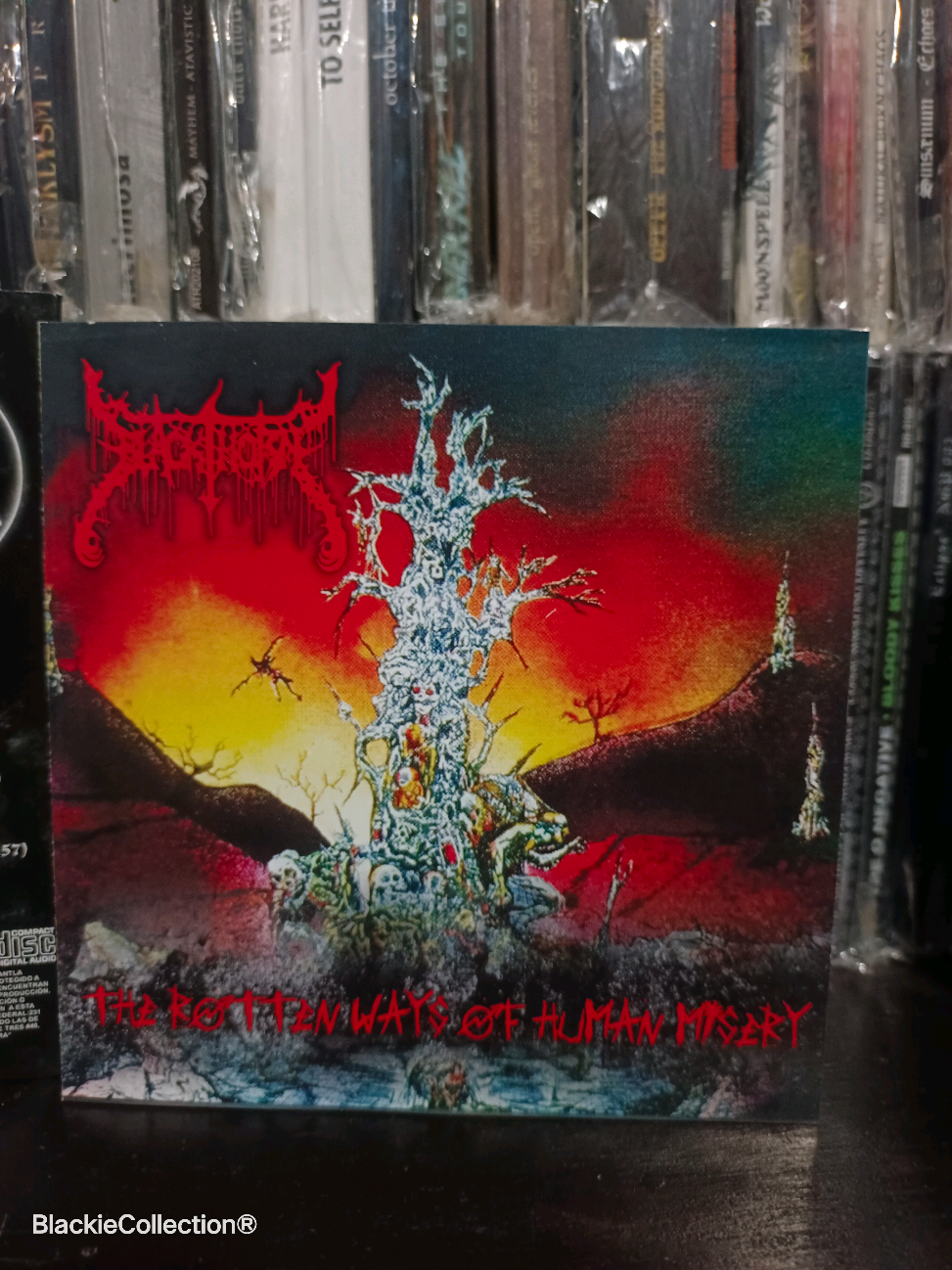 @Metal Music Physical Review