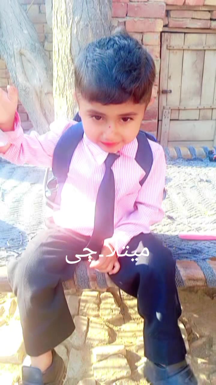 @rehmat