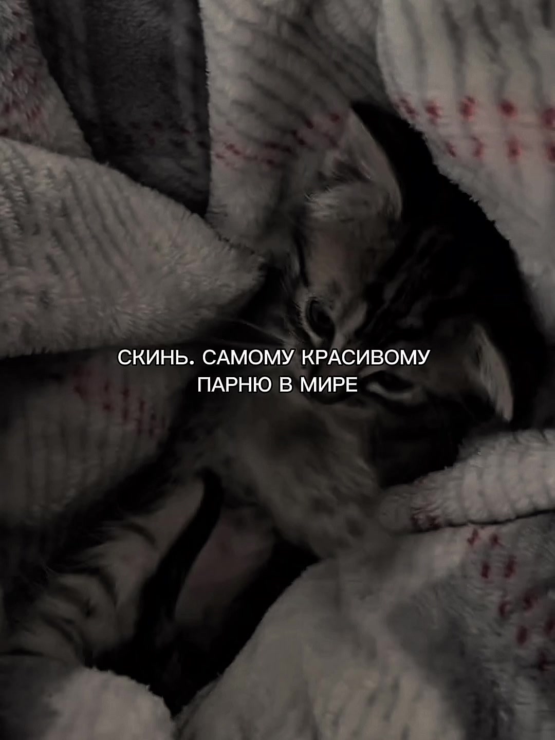 @ХХИКА