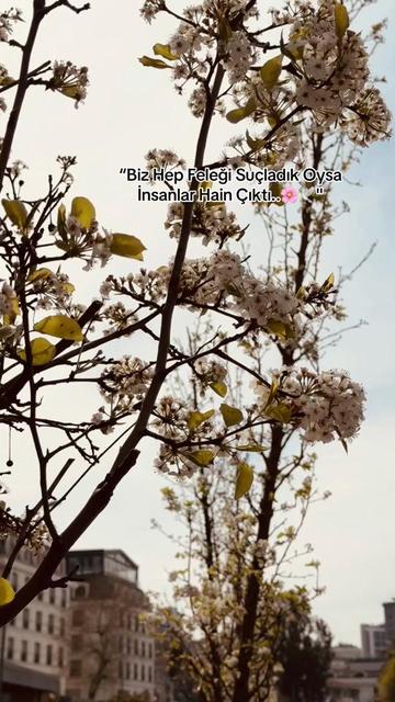 @✪Storilik.21✪