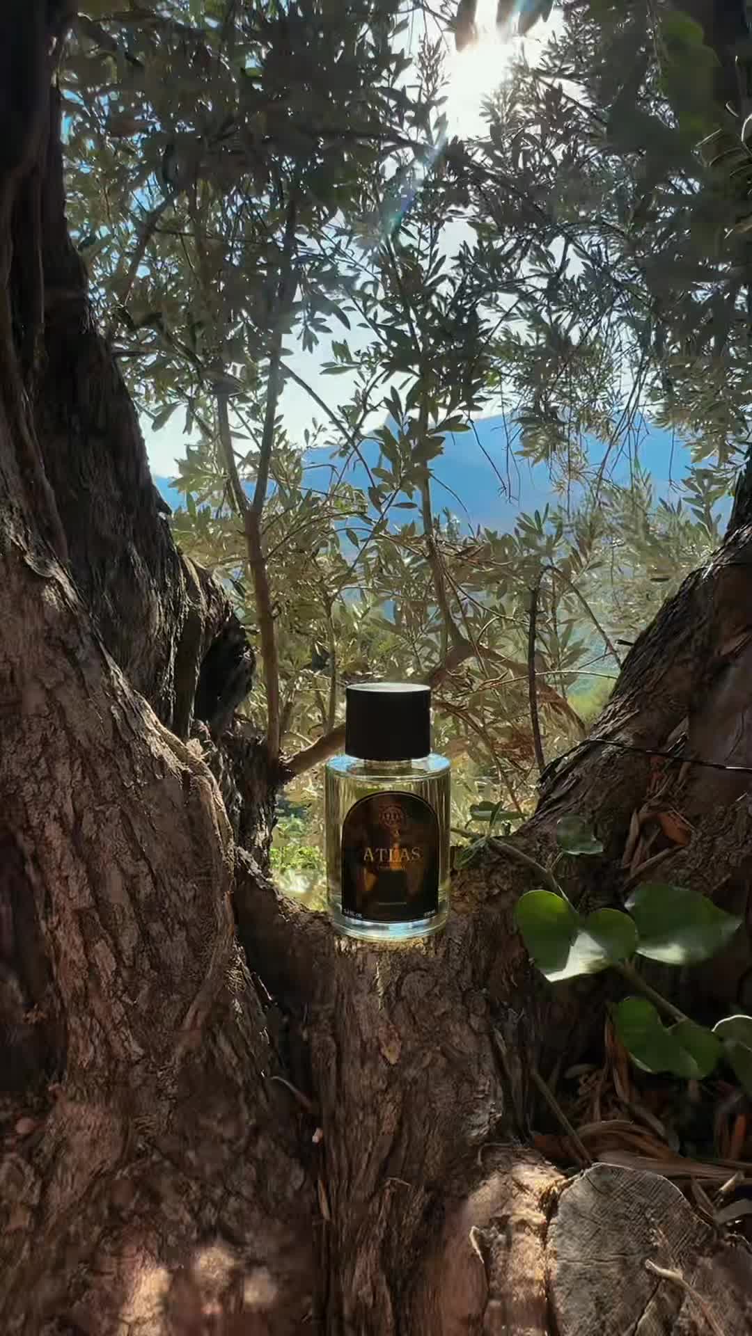 @Parfumlover🤍