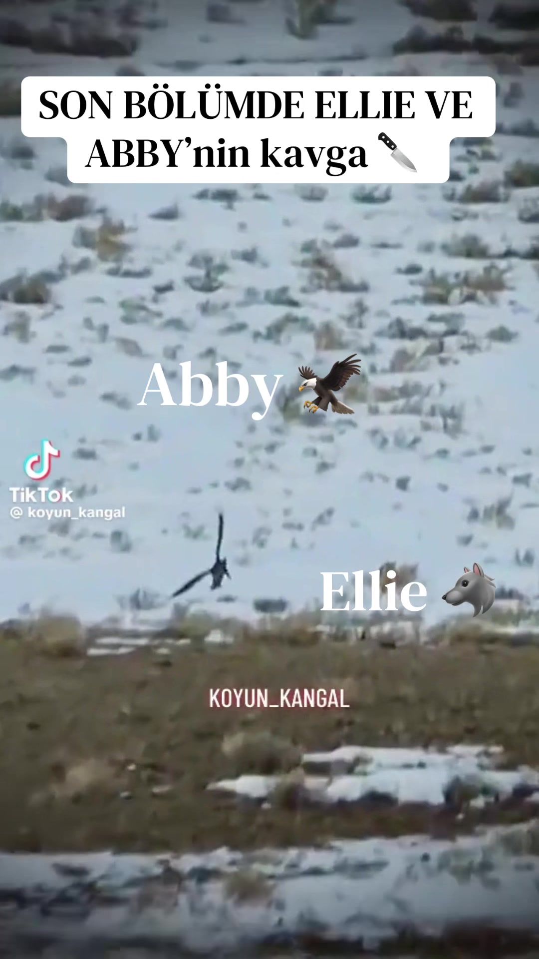 @Cem Şahin
