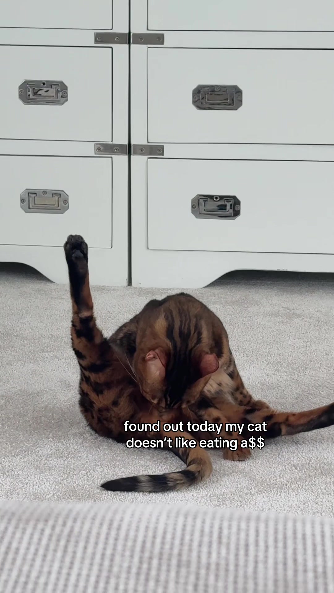@Rex