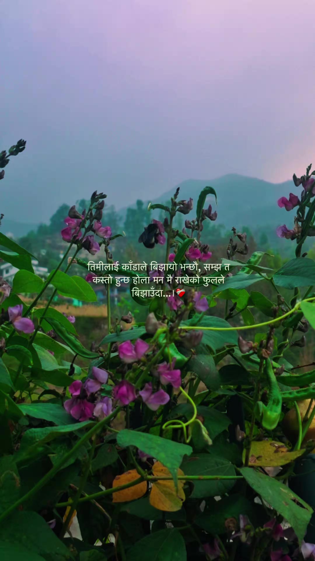 @PASHANG SHERPA