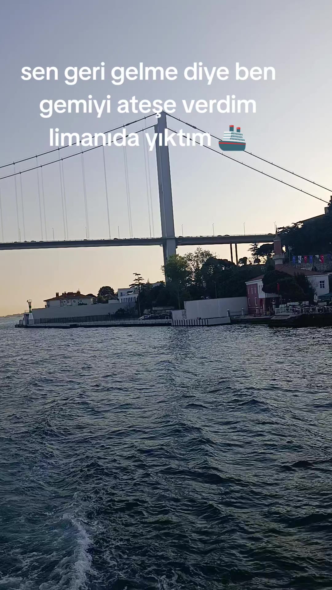 @🐨 🎀 𝓐𝔂 ışığı 34 🎀 🐨