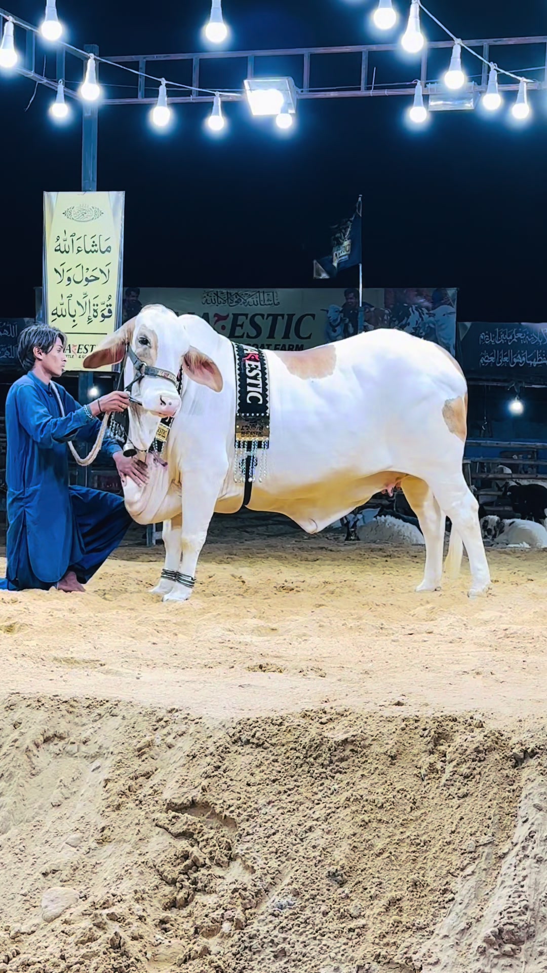@MAJESTIC CATTLE & GOAT FARM