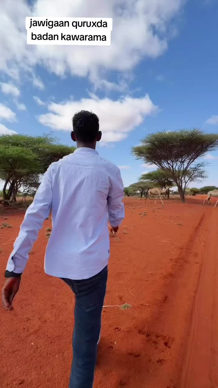 @abdi fatah dheere